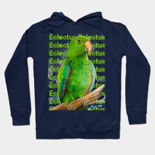 Eclectus Hoodie